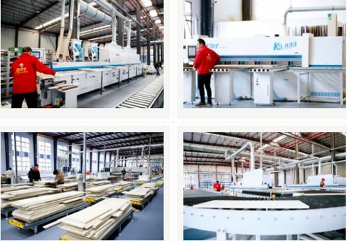 雪寶集團(tuán) 大國工匠，家居典范